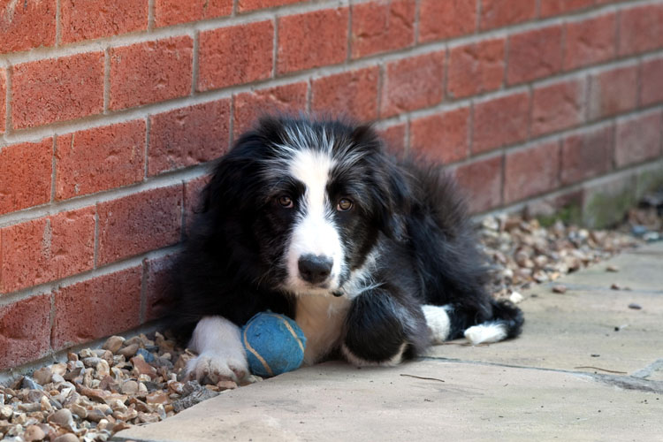 George, 3 months