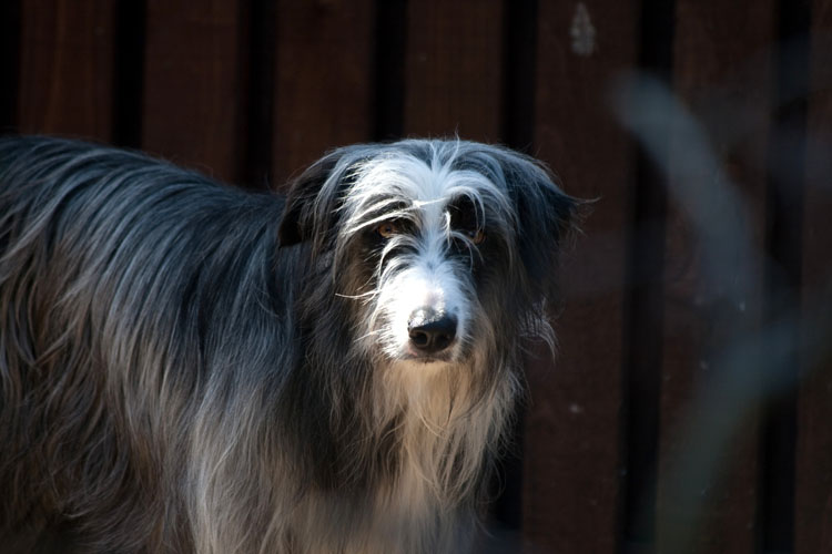 George, 2 years